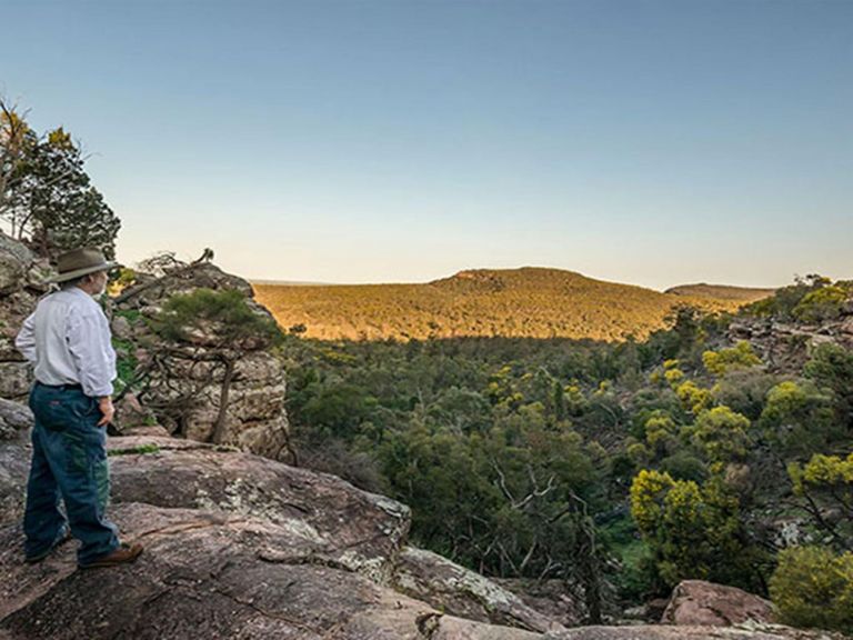 A man looks out across Cocoparra National Park from Spring Hill picnic area. Photo: John
