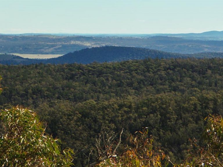 Yambira Mountain, Conimbla National Park. Photo: A Lavender/NSW Government