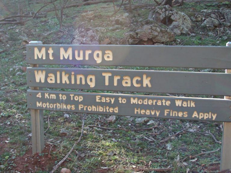 Mount Murga walking track, Nangar National Park. Photo: A Lavender/NSW Government