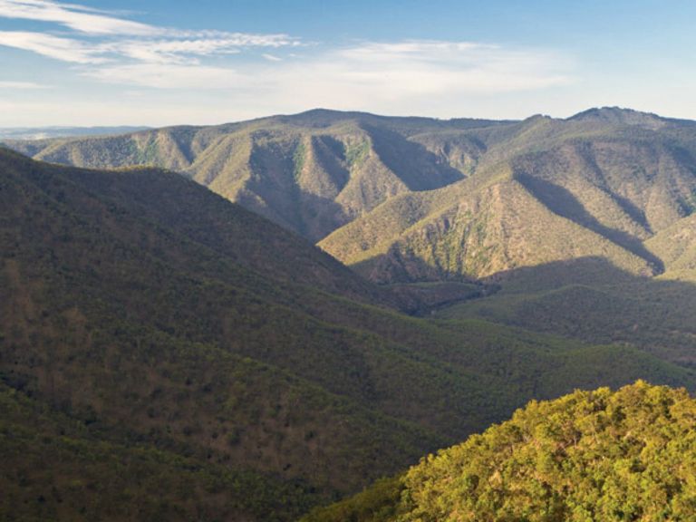 View over Oxley Wild Rivers National Park. Photo: Rob Cleary
