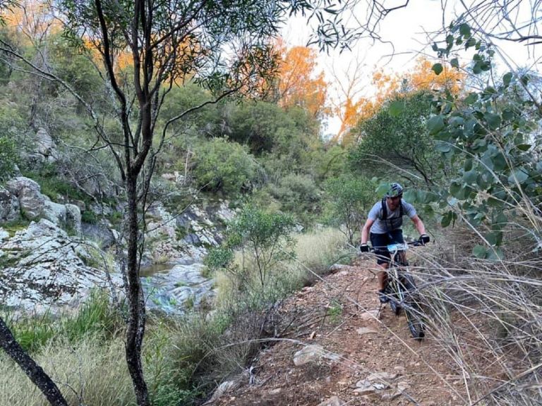 Image of trails at Tamworth mountain bike park