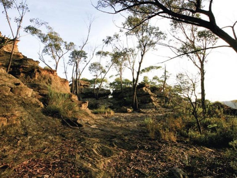 The Newnes Plateau Cliffs, Gardens of Stone National Park. Photo: R Nicolai/NSW Government