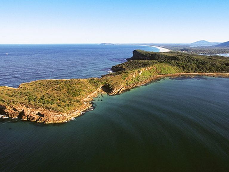 Kattang Nature Reserve: Photo: NSW Government