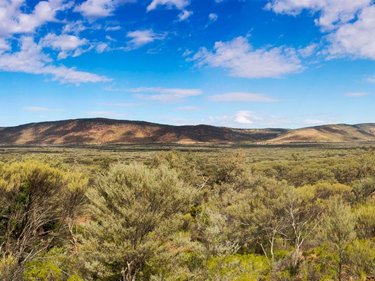 Panoramic view of bushland and Gunderbooka Range under a blue sky. Photo credit: Leah Pippos &copy;