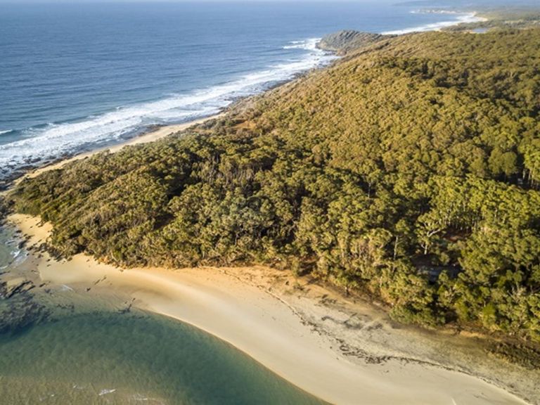Aerial image of the beach at Mimosa Rocks National Park. Photo: John Spencer &copy; DPIE