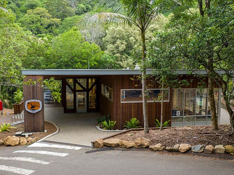 Exterior of Minnamurra Rainforest Centre with zebra crossing in the foreground and rainforest in the