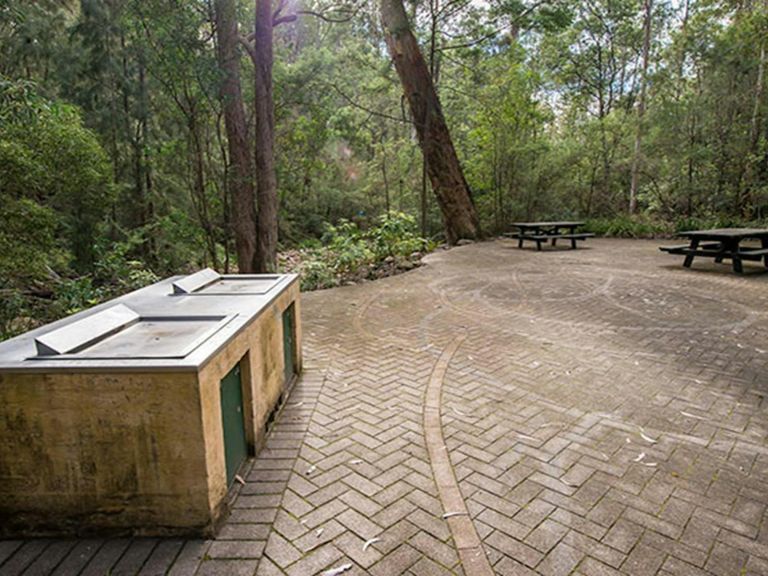 Biamanga Cultural area, Biamanga National Park. Photo: John Spencer/NSW Government