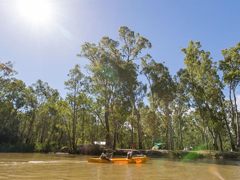 Paddlers pass by Swifts Creek campground, Murray Valley National Park. Photo: B Ferguson/OEH