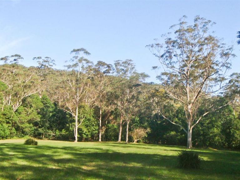 Red Cedar Flat picnic area, Royal National Park. Photo: Andy Richards/NSW Government