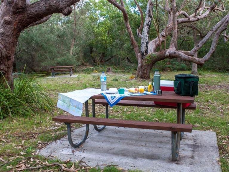 Food containers on a picnic table, Red Point picnic area, Jervis Bay National Park. Photo: Michael