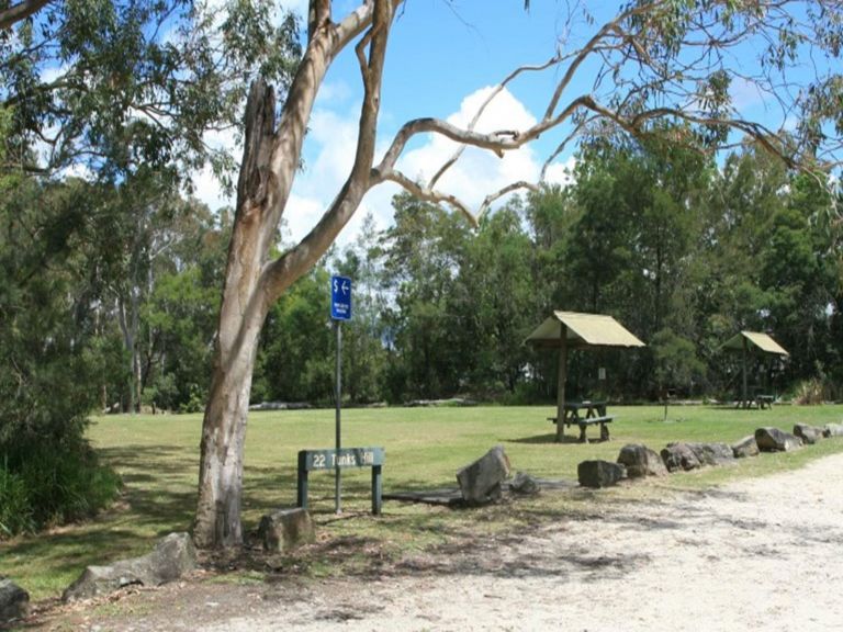 Picnic shelters and trees at Tunks Hill picnic area in Lane Cove National Park. Photo: Nathan