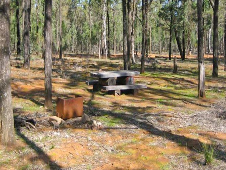 Two Dams picnic area, Ben State Conservation Area. Photo: R. Hurst/NSW Government