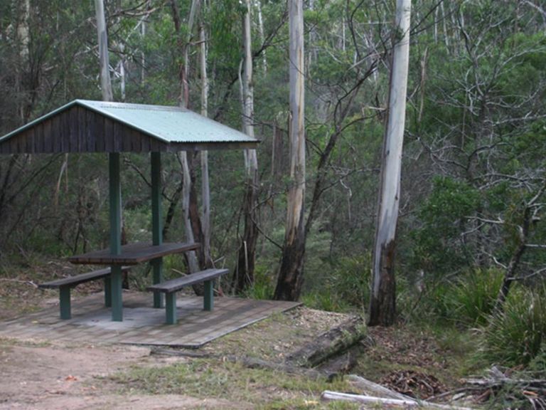 White Rock River picnic area, South East Forest National Park. Photo credit: David Costello &copy;