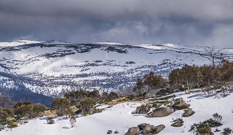 Snowy Mountains, Kosciuszko National Park, NSW