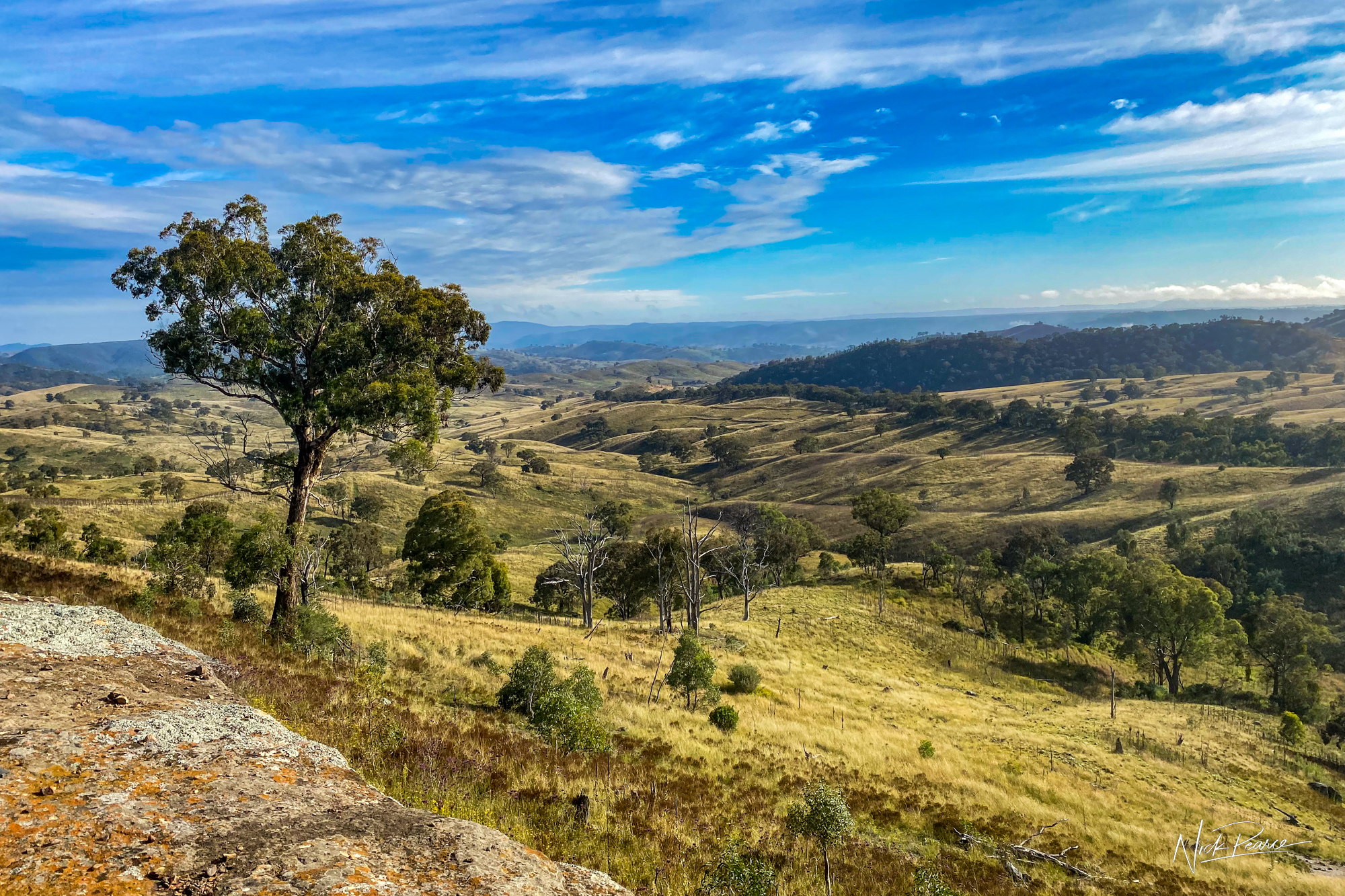 Grassy hill sloping down to the right with scattered trees overlooking a valley