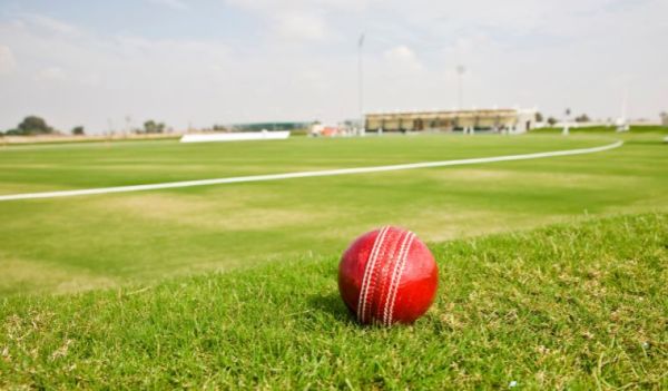 Cricket ball in a large field