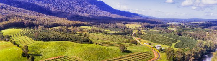Bellinger Farm