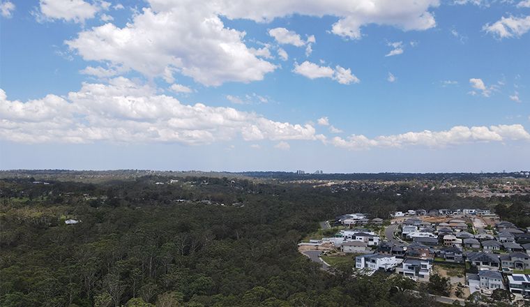 bushland interface with homes