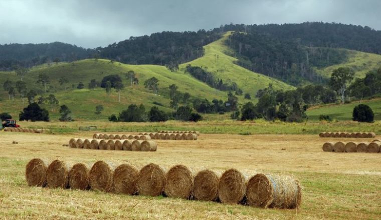 Bales of hay on farmland with hills in the background.