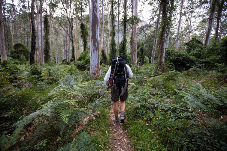 Person hiking in the bush in southern NSW