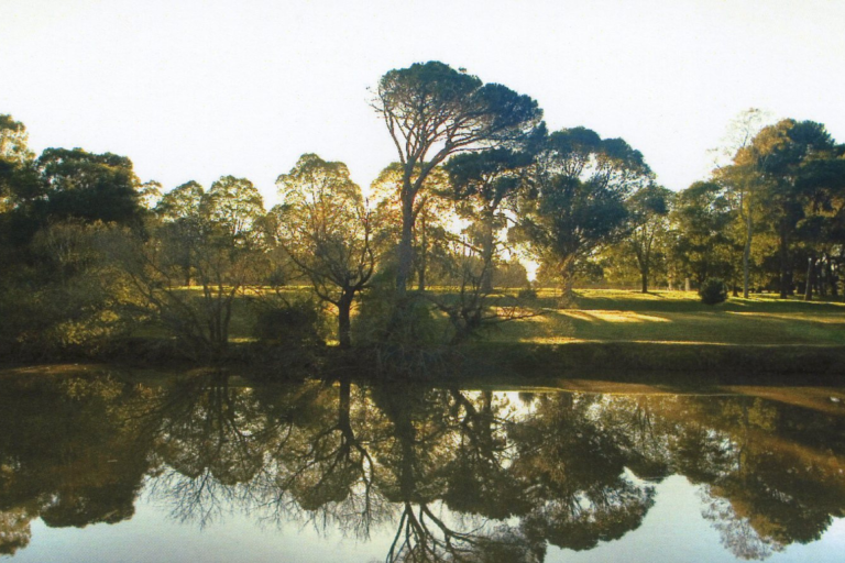 Image of trees and riverside at Parramatta Park